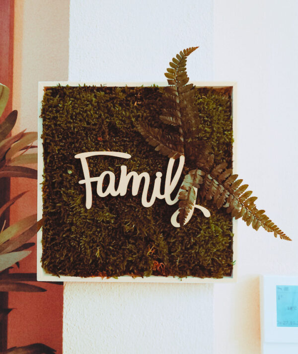 Quadro Family