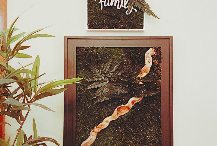quadro fern