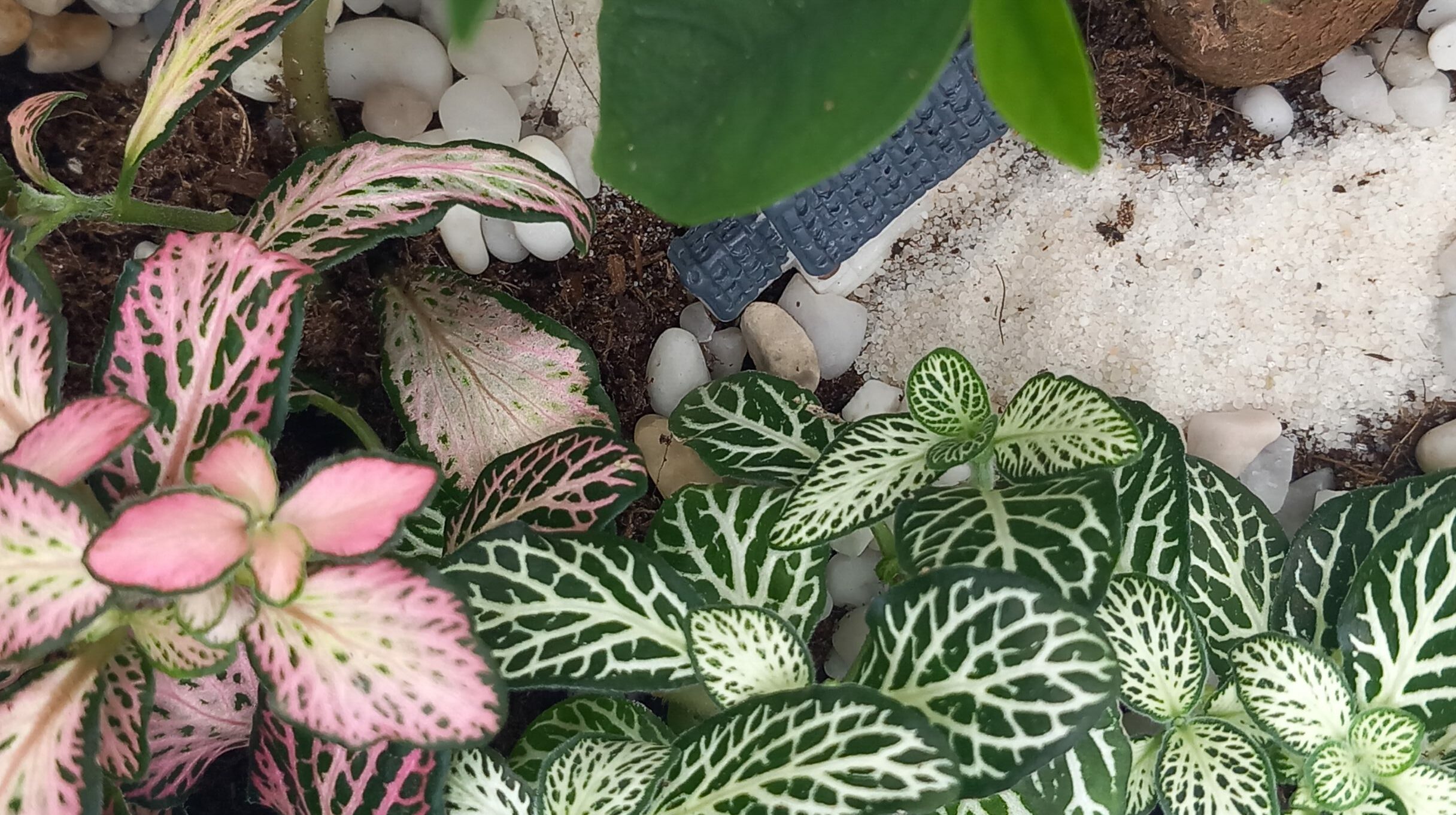 Image Slider