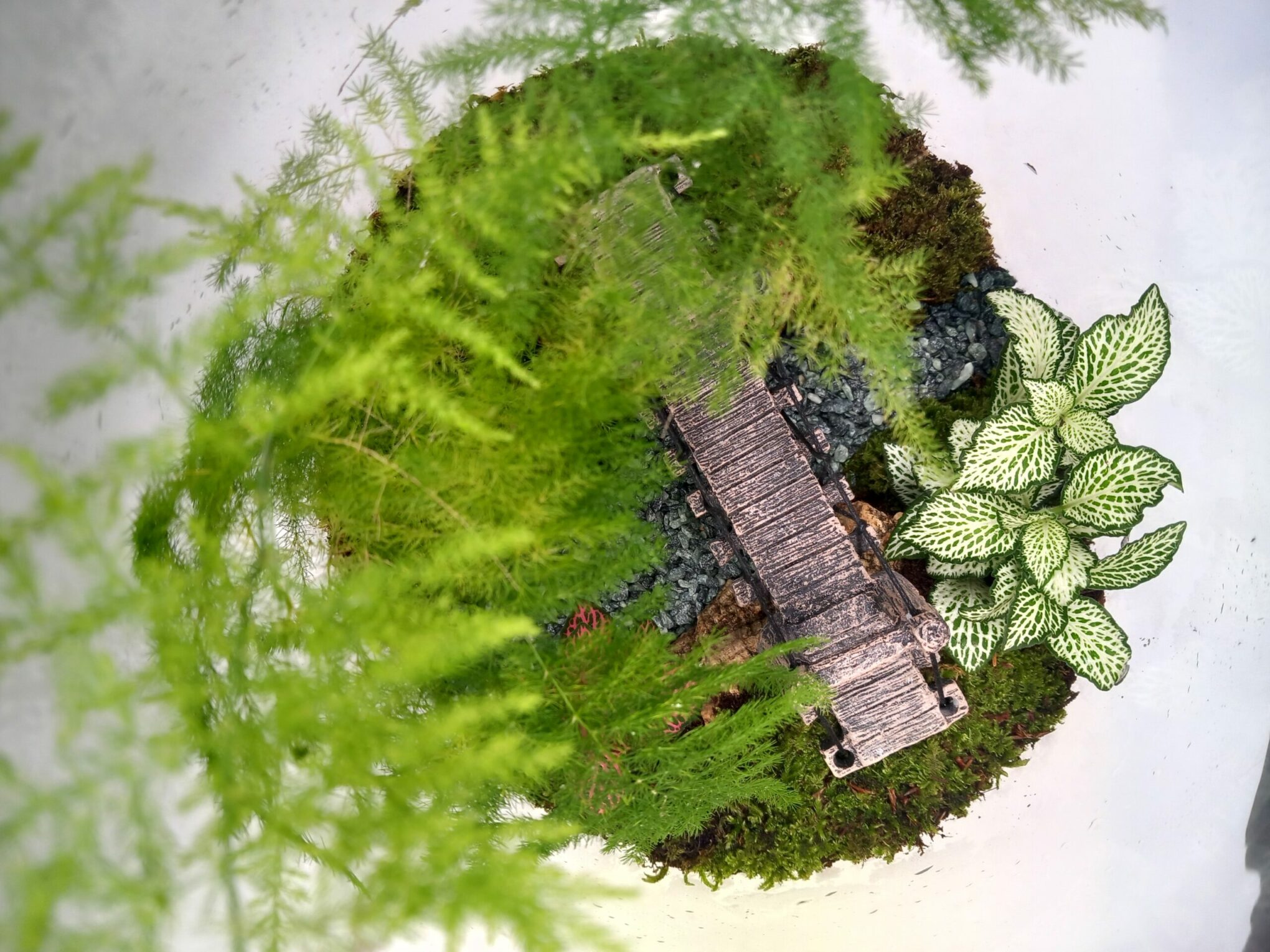 Image Slider