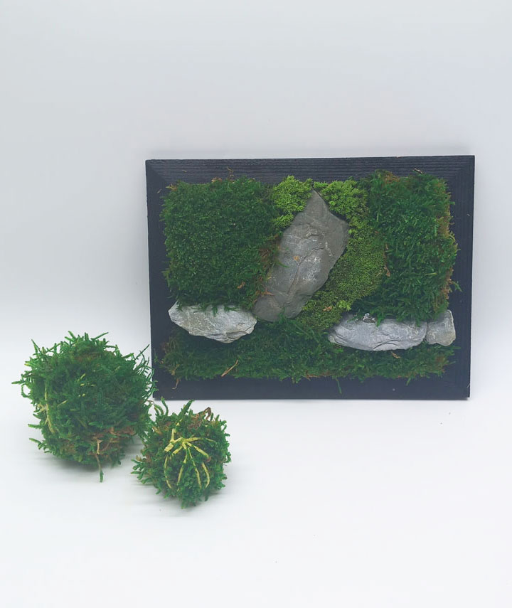 quadro-terra